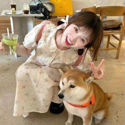 地狱宝贝 在线观看封面